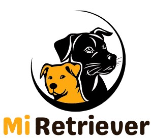Mi Retriever